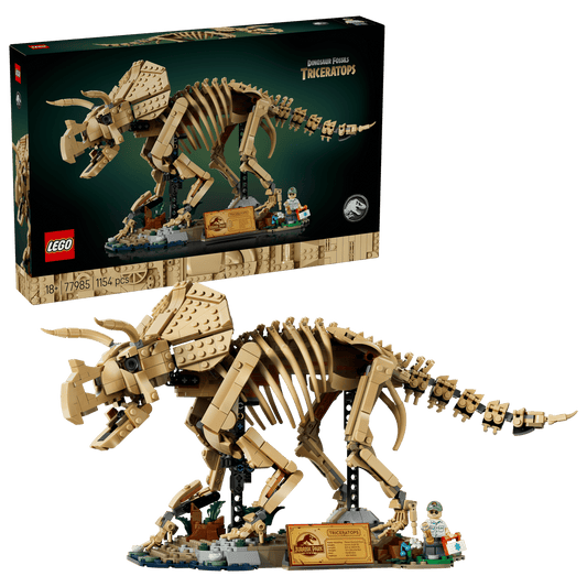 Les fossiles de dinosaure : le tricératops