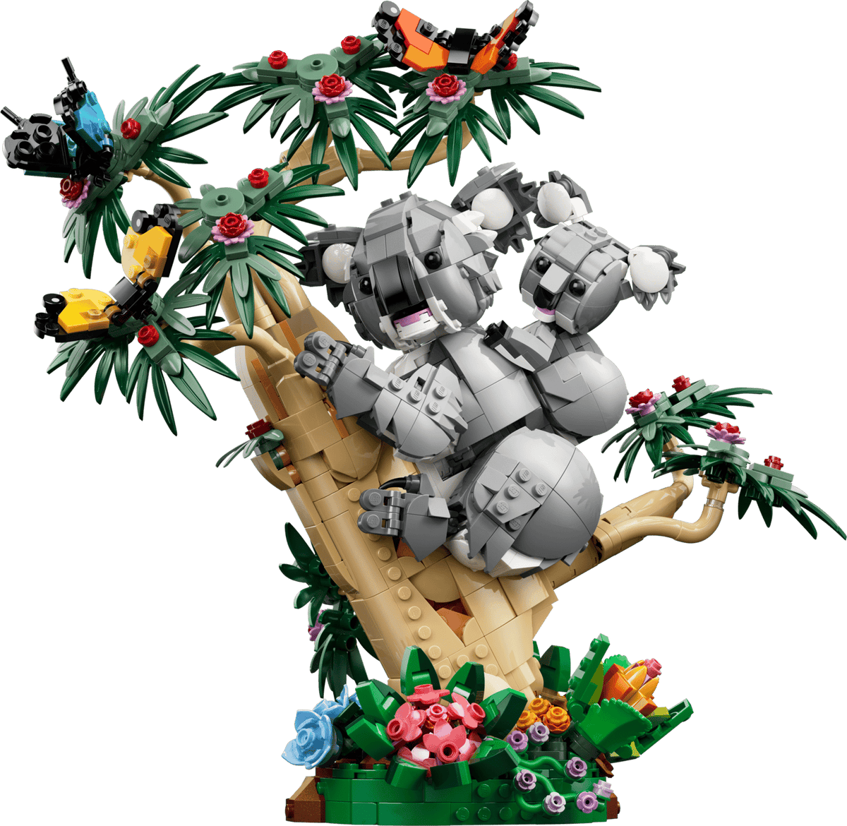 Animaux sauvages : la famille de koalas